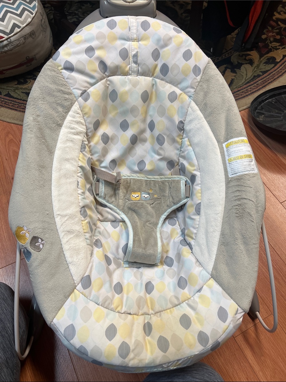 Ingenuity automatic bouncer